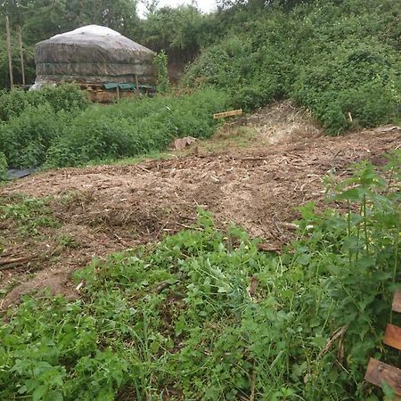Yourte Rustique En Permaculture Creysse  Bagian luar foto